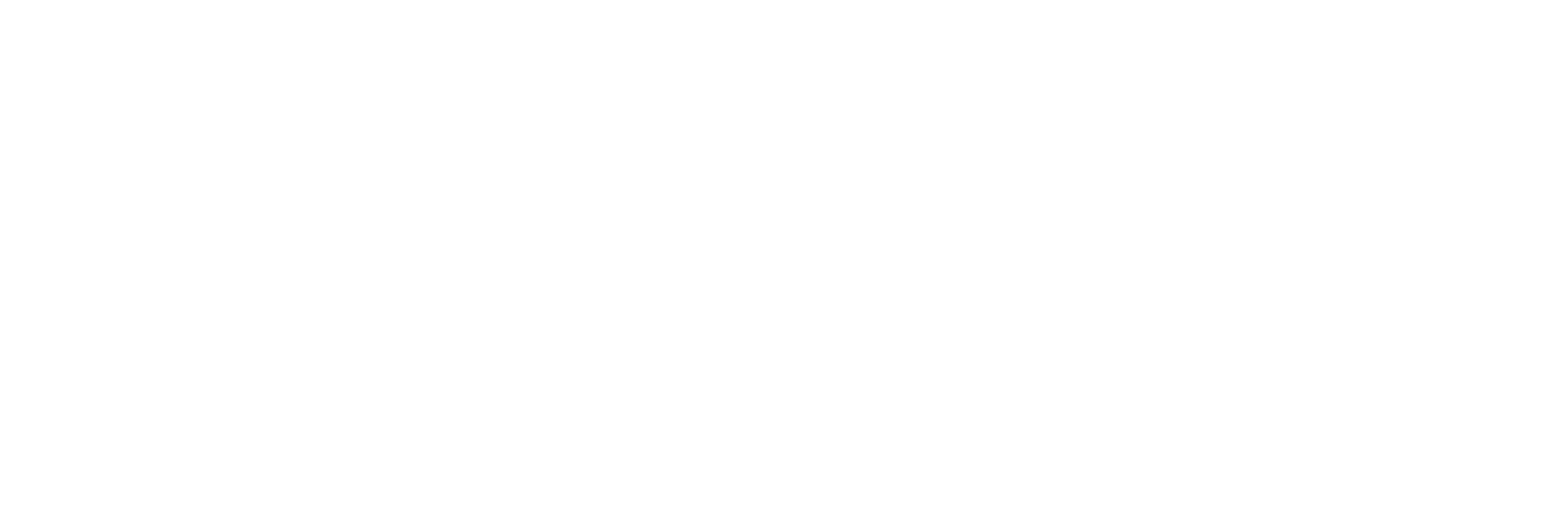 _Excelia_nuevo_Logo_2025_wth 1